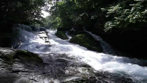 Fresh Greenery and Mountain Streams Stockbeeldmateriaal 332491695
