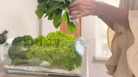 Fresh Greens and Lettuce in the Kitchen Woman Packs Spinach for Stock Footage 311053624