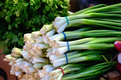 Fresh greens Stock Photos