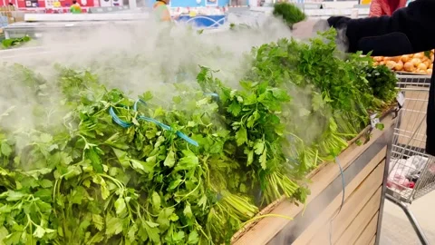 Fresh greens in the store with a humidification system Stock Footage 234865144