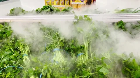 Fresh greens in the store with a humidification system Stock Footage 234865152