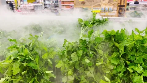 Fresh greens in the store with a humidification system Stock Footage 234865165