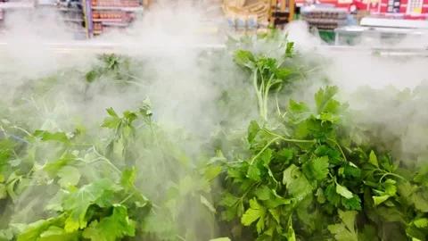 Fresh greens in the store with a humidification system Stock Footage 234865182