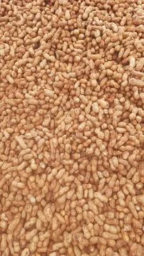 Fresh Ground Nuts Stock Photos