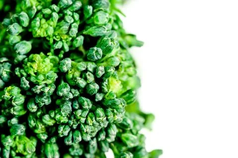 A fresh group of vegetables on white background Stock Photos