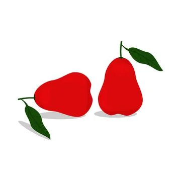 Fresh guava fruit vector red color cdr . file Stock Illustration