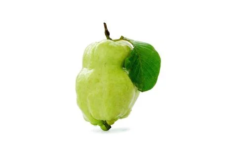Fresh guava with one leaf isolated on white background. 스톡 사진