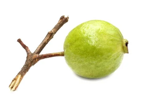Fresh guava Stock Photos