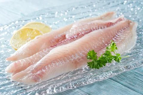 Fresh Haddock Fillets Foto stock