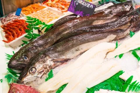 Fresh hake fish Stock Photos