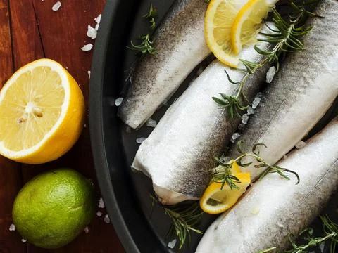 Fresh hake fish Stock Photos