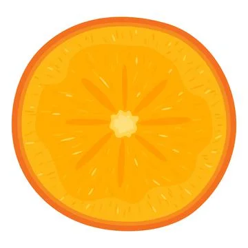 Fresh half cut persimmon fruit isolated on white background. Summer fruits fo Stock Illustration