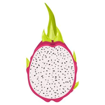 Fresh half cut red pitaya fruits isolated on white background. Summer fruits  Stock Illustration