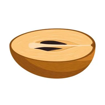 Fresh half cut sapodilla fruit isolated on white background. Summer fruits fo Stock Illustration