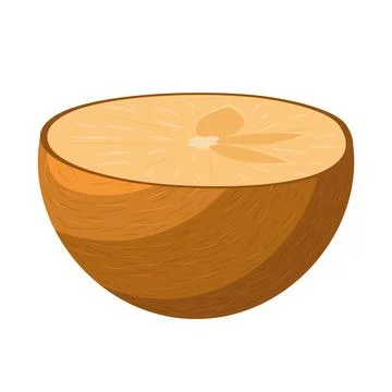 Fresh half cut sapodilla fruit isolated on white background. Summer fruits fo Stock Illustration