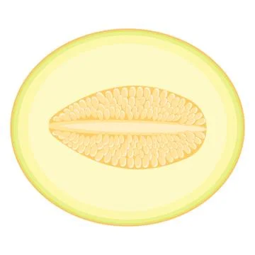 Fresh half melon fruit isolated on white background. Honeydew melon. Summer f Stock Illustration