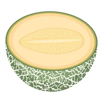 Fresh half melon fruit isolated on white background. Cantaloupe melon. Summer Illustrazione stock