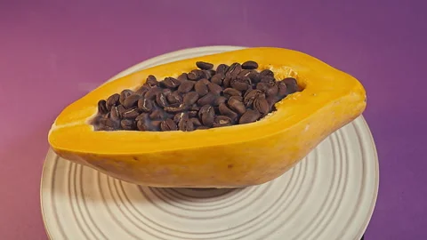 Fresh Halved Papaya Filled with Roasted Coffee Beans Stock Footage 339078074