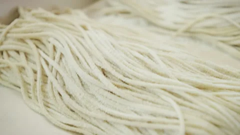 Fresh handmade soba overview Vidéo 334032579