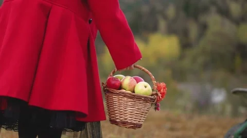 Fresh harvest from her own garden: a woman proudly presents her fruits and Stock Footage 249741353