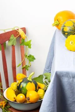 Fresh harvest of pumpkins on a table Stock Photos