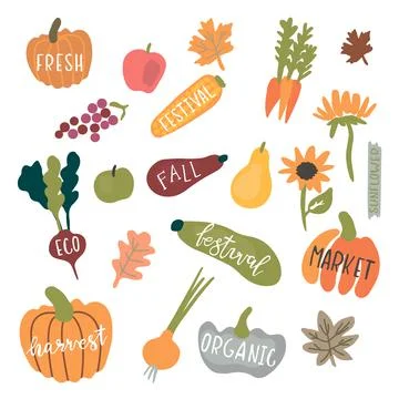 Fresh harvest vector set isolated on white background Stock Illustration