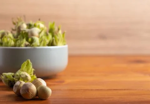 Fresh hazel nuts on a table Stock Photos