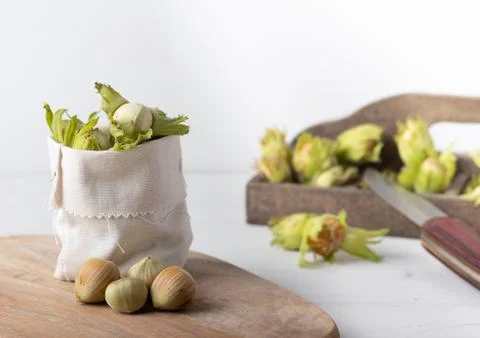 Fresh hazel nuts on a white background Foto stock