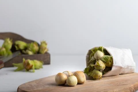 Fresh hazel nuts on a white background Stock Photos
