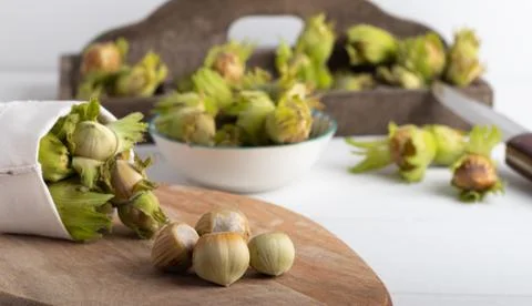 Fresh hazel nuts on a white background Stock Photos