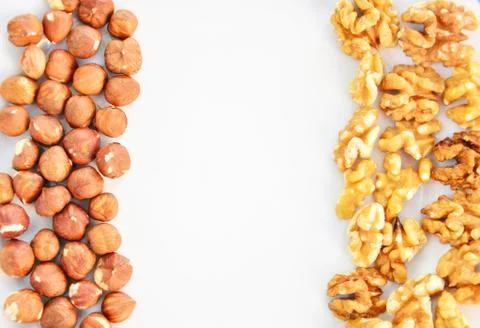 Fresh hazelnuts and walnuts Stock Photos