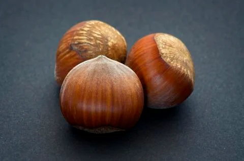 Fresh hazelnuts over black background with soft defocus Stock Photos