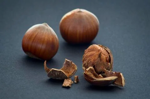 Fresh hazelnuts over black background with soft defocus 写真素材