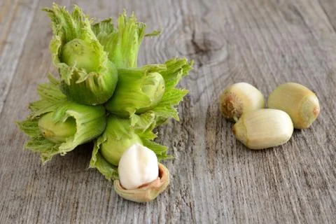Fresh hazelnuts Stock-Fotos