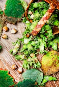 Fresh hazelnuts in shell with leaves in wicker basket, vintage wooden backgro Stock Photos