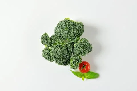 Fresh head of broccoli Stock Photos