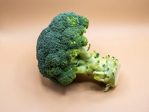 Fresh head of broccoli on a plain beige background, side view. Stock Photos