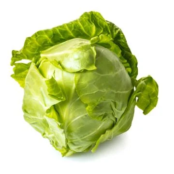 Fresh head of cabbage Stock Photos
