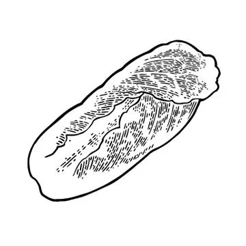 Fresh head of napa cabbage. Vector black vintage engraving Ilustración de archivo
