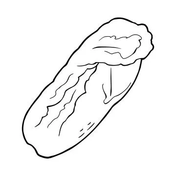 Fresh head of napa cabbage. Vector black vintage engraving Ilustración de archivo