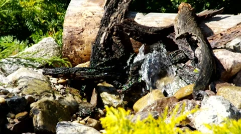 Fresh head of water Stock Footage 48725115