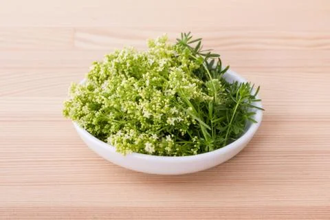 Fresh Hedge bedstraw Stock Photos