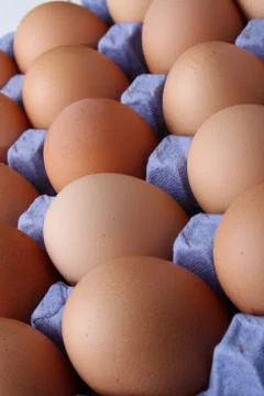 Fresh hens eggs Stock Photos