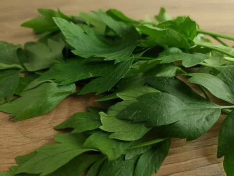 Fresh herb from lovage on table Stock Photos