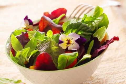 Fresh herb salad Stock Photos
