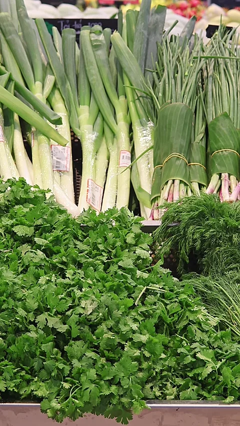 Fresh herbs and leafy vegetables displayed in supermarket produce section Stock Footage 336663313