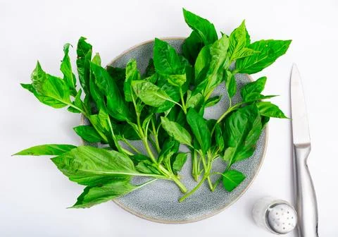 Fresh herbs bunch green basil leaves ready for cooking on plate Stock Photos