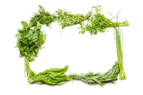 Fresh herbs forming a frame Stock Photos
