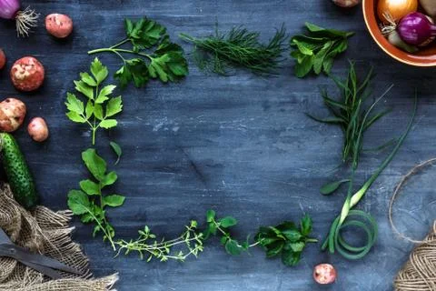 Fresh herbs frame on dark background: parsley, dill, celery, thyme, marjoram  Stock Photos