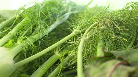 Fresh Herbs at the market. Close Up Stock Footage 267219624